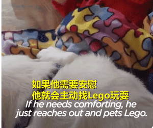 遇见你的时候，所有星星都落到我头上…-10.gif