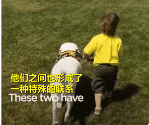 遇见你的时候，所有星星都落到我头上…-7.gif