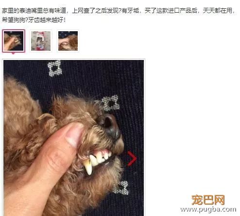 用痛苦刷牙换口腔健康？美味的宠物牙胶了解一下-5.jpeg