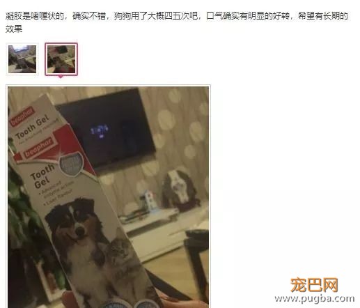 用痛苦刷牙换口腔健康？美味的宠物牙胶了解一下-4.jpeg