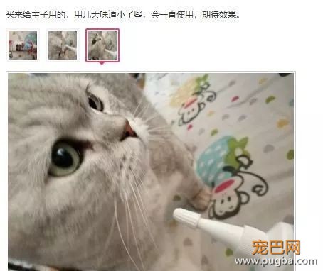 用痛苦刷牙换口腔健康？美味的宠物牙胶了解一下-8.jpeg