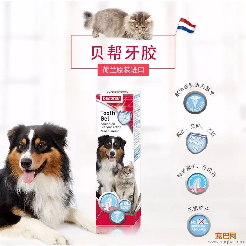 用痛苦刷牙换口腔健康？美味的宠物牙胶了解一下-14.jpeg