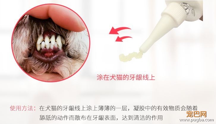用痛苦刷牙换口腔健康？美味的宠物牙胶了解一下-15.jpeg