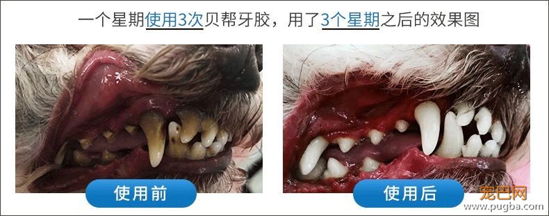 用痛苦刷牙换口腔健康？美味的宠物牙胶了解一下-20.jpeg