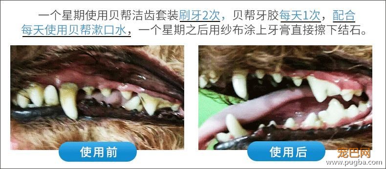 用痛苦刷牙换口腔健康？美味的宠物牙胶了解一下-21.jpeg