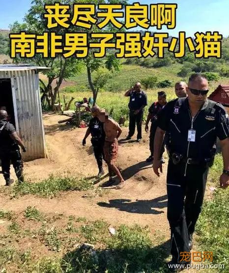 丧尽天良！南非一男子因强奸邻居家的猫被逮捕？？？-1.jpg