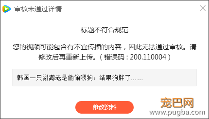 英斗被鹦鹉喂胖24斤，背后的故事竟然还有点小感动？-5.png