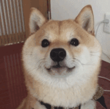 拒当你的脚镣，我们一起看天涯海角-1.gif