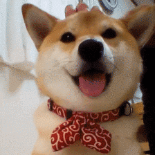 拒当你的脚镣，我们一起看天涯海角-2.gif