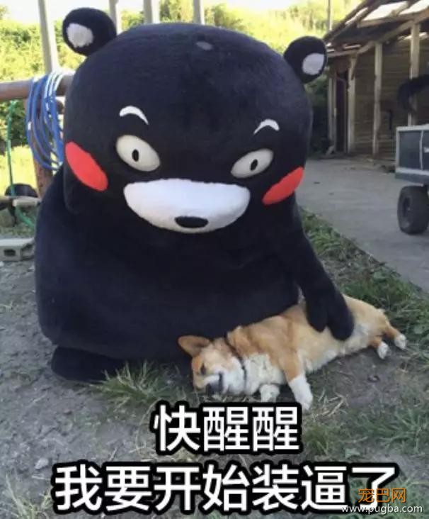 拒当你的脚镣，我们一起看天涯海角-7.jpg