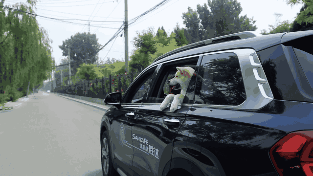 拒当你的脚镣，我们一起看天涯海角-9.gif