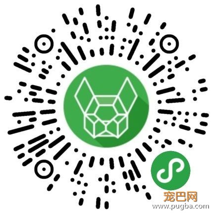 一条龙解决狗狗嘴馋和保健的营养膏，赶紧了解一下！-11.jpeg