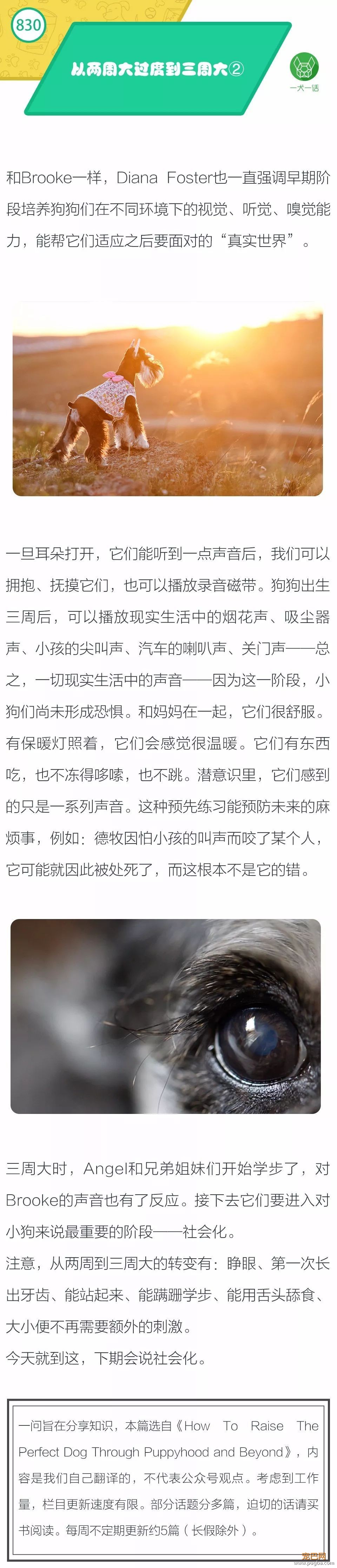 从两周大过度到三周大 ②-1.jpeg