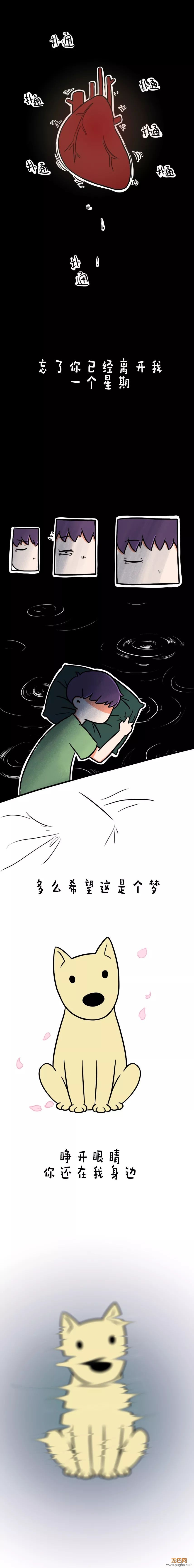 这次换我目送你离开，可你再也不会回来-3.jpeg