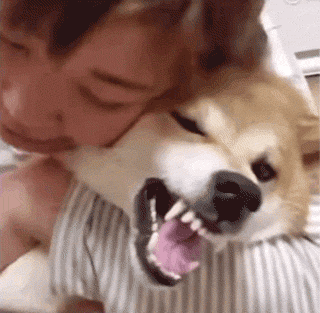 傲娇狗拒绝现场：我亲你可以，你亲我想都别想！-5.gif