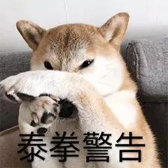 傲娇狗拒绝现场：我亲你可以，你亲我想都别想！-9.jpg