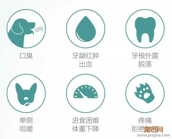 傲娇狗拒绝现场：我亲你可以，你亲我想都别想！-13.jpg