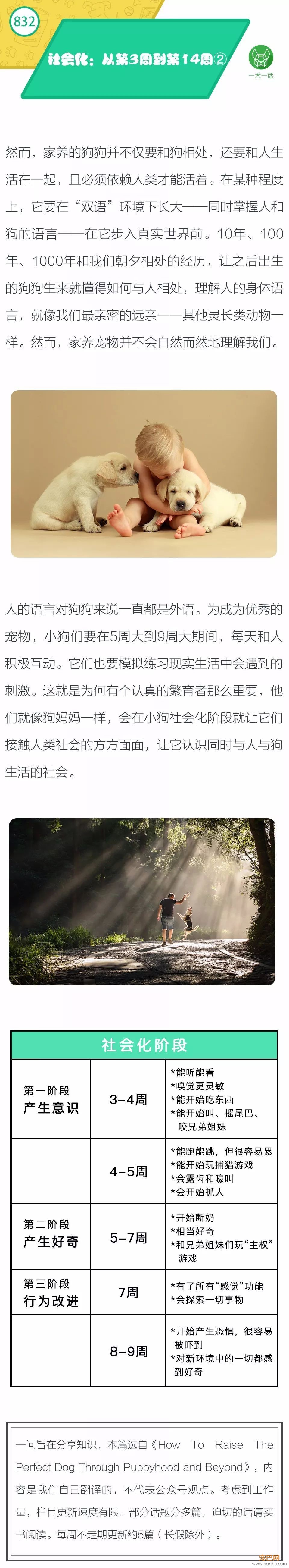 社会化：从第3周到第14周 ②-1.jpeg