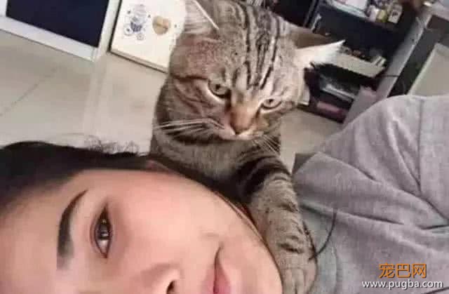 女主人假装睡着，试探猫咪的反应，接下来一幕让人傻眼-2.jpeg