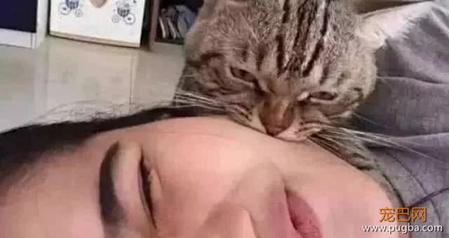女主人假装睡着，试探猫咪的反应，接下来一幕让人傻眼-4.jpeg