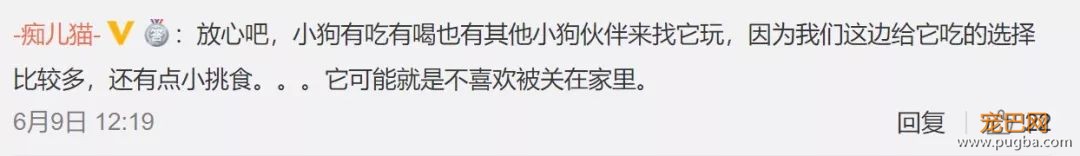 流浪狗捡到一只玩偶米奇，就把它叼到车底一起乘凉：你可以做我的朋友吗？-6.jpeg