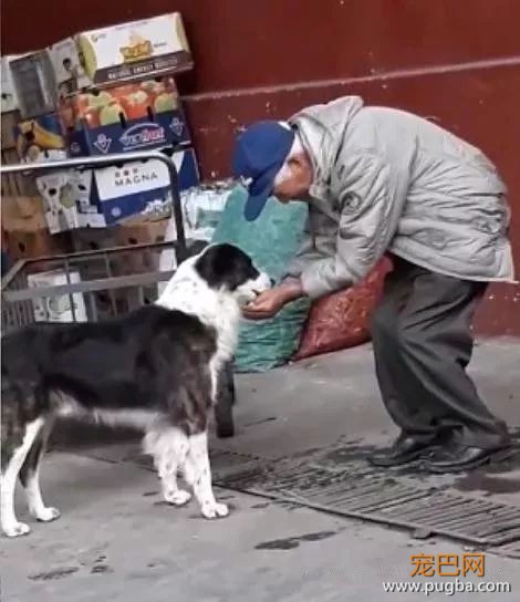 流浪狗捡到一只玩偶米奇，就把它叼到车底一起乘凉：你可以做我的朋友吗？-9.jpeg