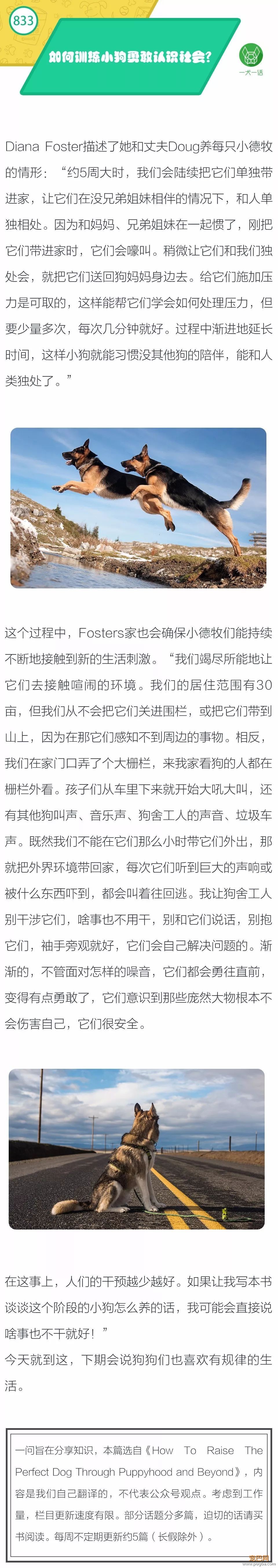 如何训练小狗勇敢认识社会？-1.jpeg