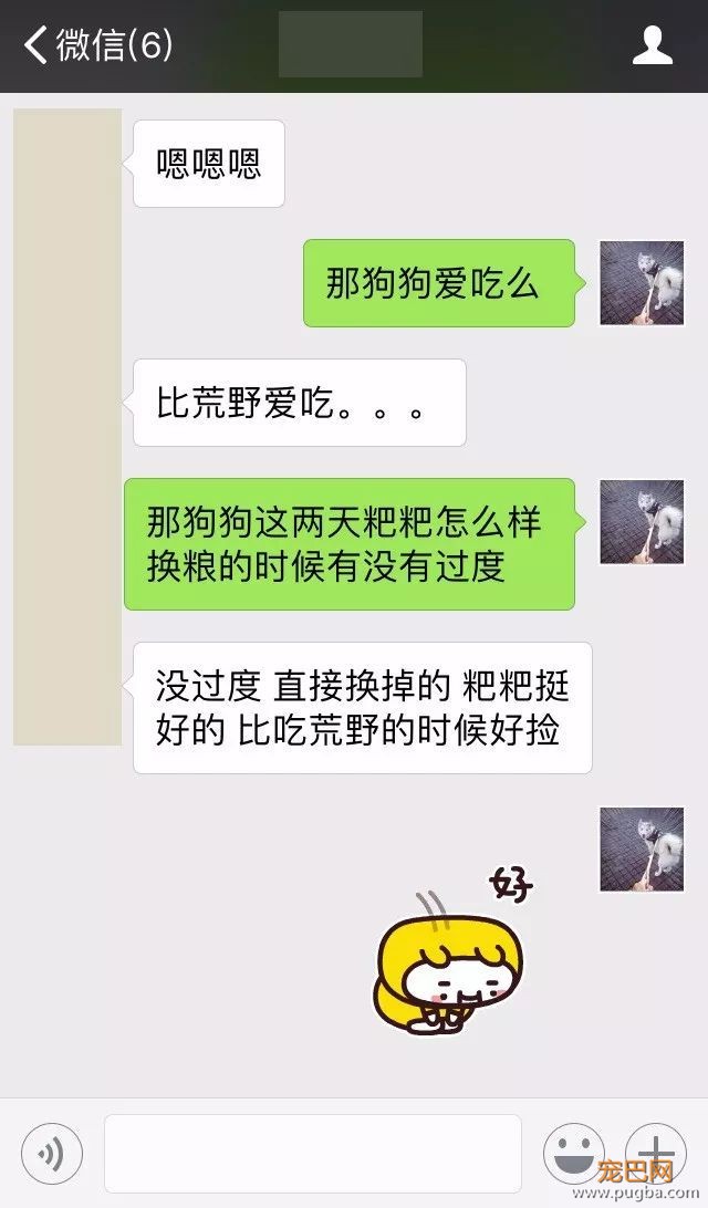 一款在中国被低估的加拿大狗粮：国外售价与渴望同级，美国DFA给它满分！-7.jpeg