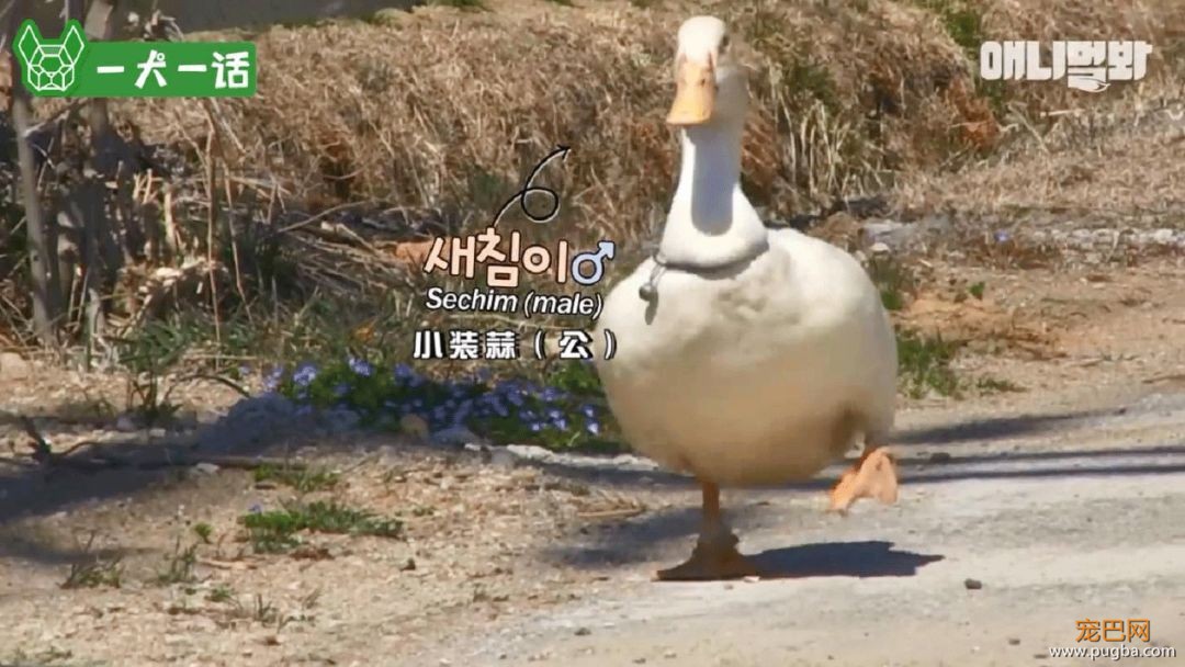 单亲狗妈妈遭遇变态跟踪狂，大家竟然觉得很好笑？-1.jpeg
