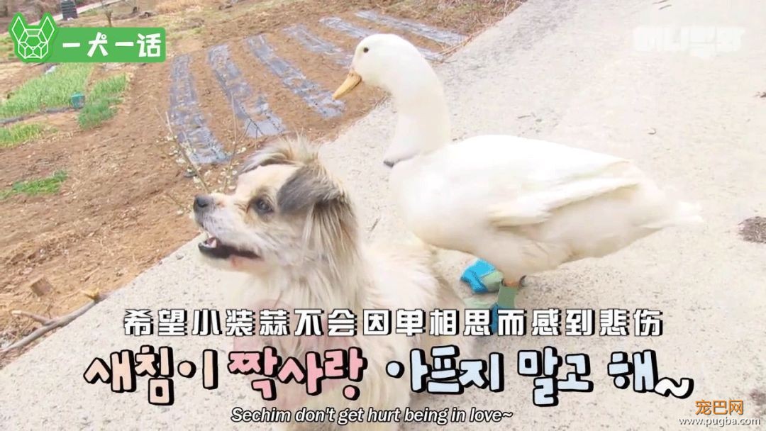 单亲狗妈妈遭遇变态跟踪狂，大家竟然觉得很好笑？-15.jpeg