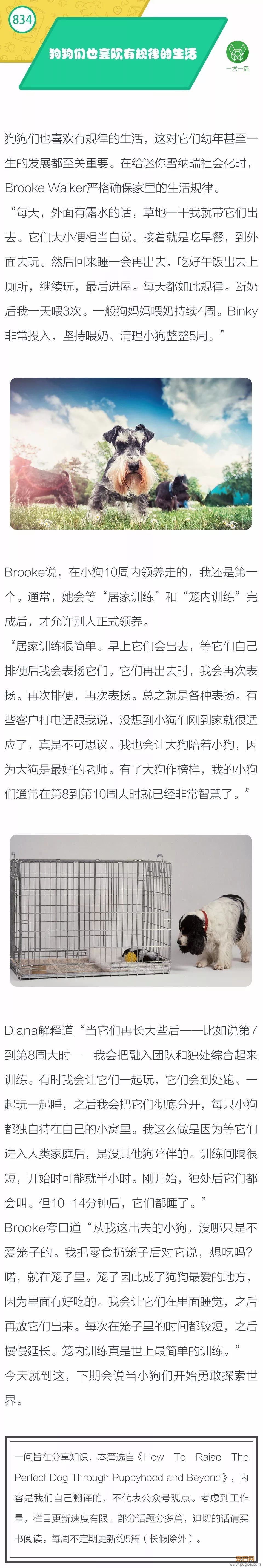 狗狗们也喜欢有规律的生活-1.jpeg