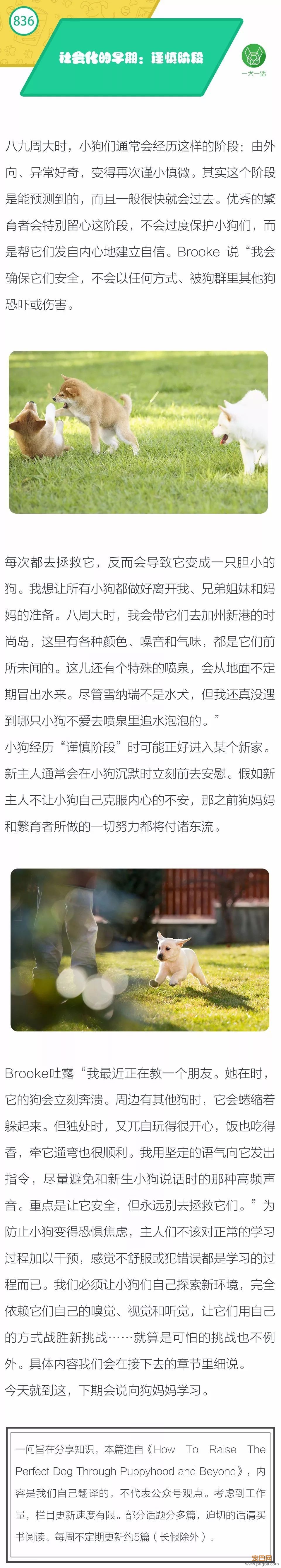 社会化的早期：谨慎阶段-1.jpeg