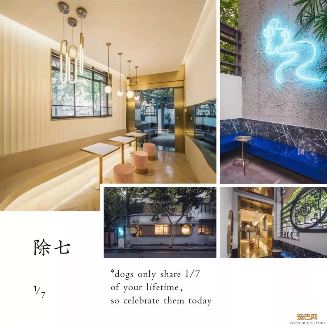 我能想到最浪漫的事，就是和你去逛这条「领养街」-11.jpeg