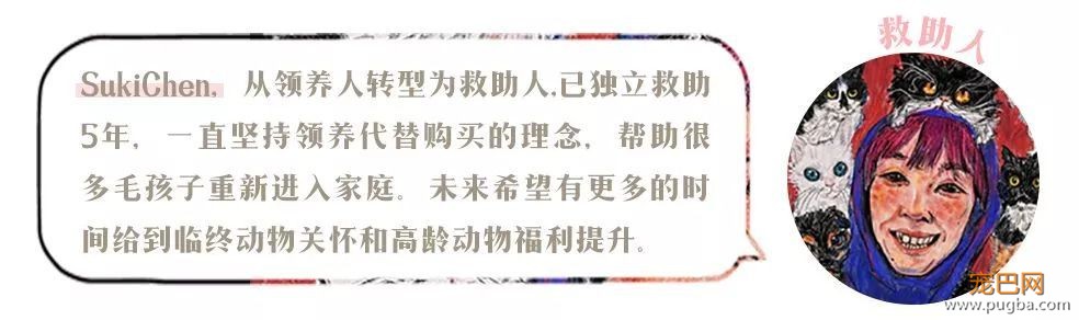 我能想到最浪漫的事，就是和你去逛这条「领养街」-17.jpeg