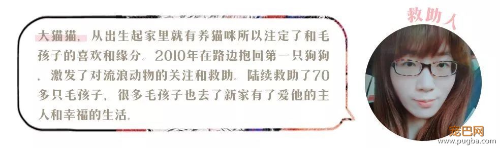 我能想到最浪漫的事，就是和你去逛这条「领养街」-24.jpeg
