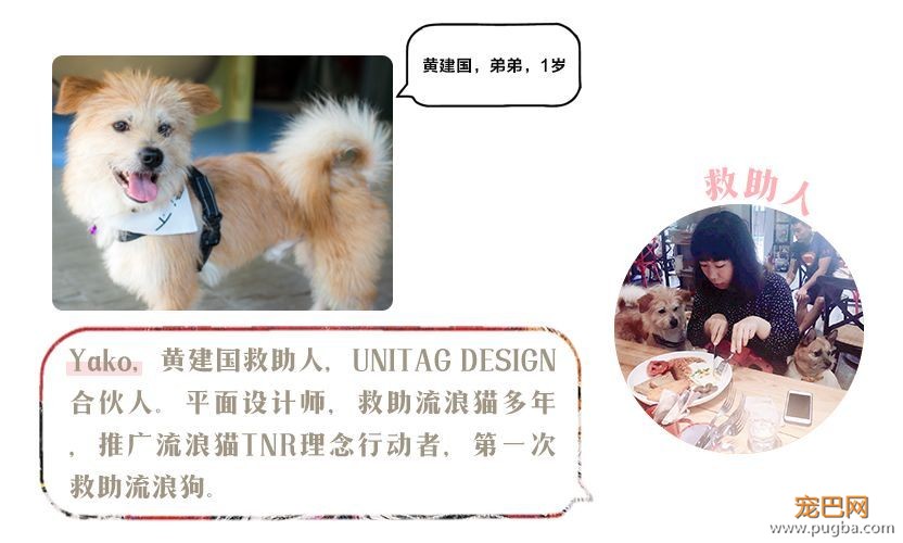 我能想到最浪漫的事，就是和你去逛这条「领养街」-28.jpeg