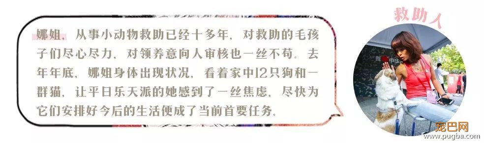 我能想到最浪漫的事，就是和你去逛这条「领养街」-27.jpeg