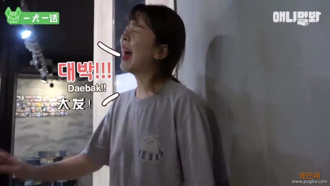 小浣熊那么可爱，当然不能养它啦！-11.jpeg
