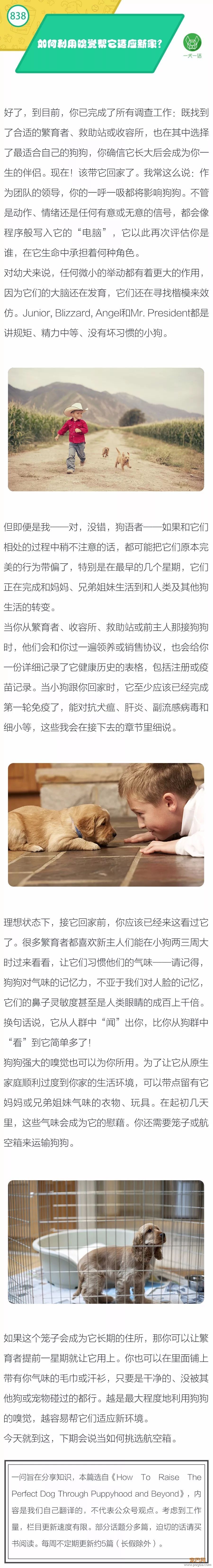 如何利用嗅觉帮它适应新家？-1.jpeg