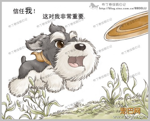 狗狗的一辈子，看到最后一个图我哭了-3.jpeg