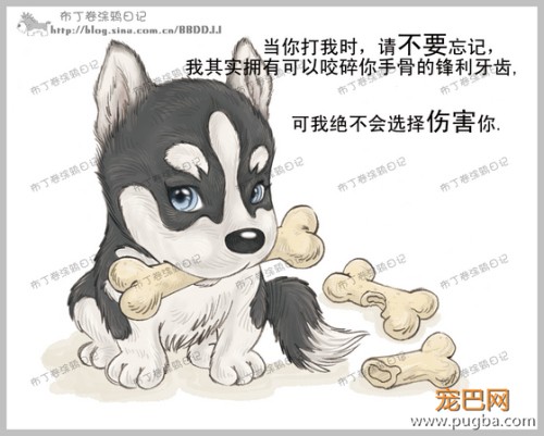 狗狗的一辈子，看到最后一个图我哭了-7.jpeg