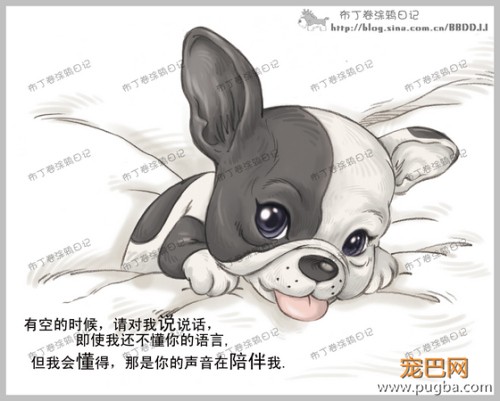 狗狗的一辈子，看到最后一个图我哭了-5.jpeg