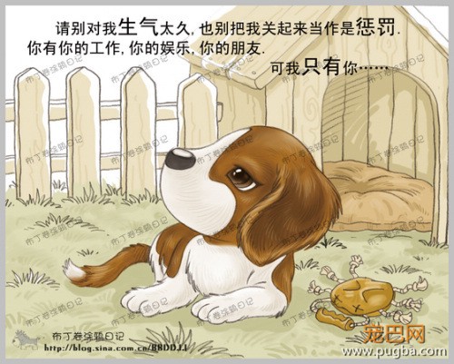 狗狗的一辈子，看到最后一个图我哭了-4.jpeg