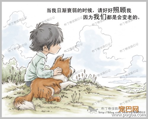 狗狗的一辈子，看到最后一个图我哭了-9.jpeg
