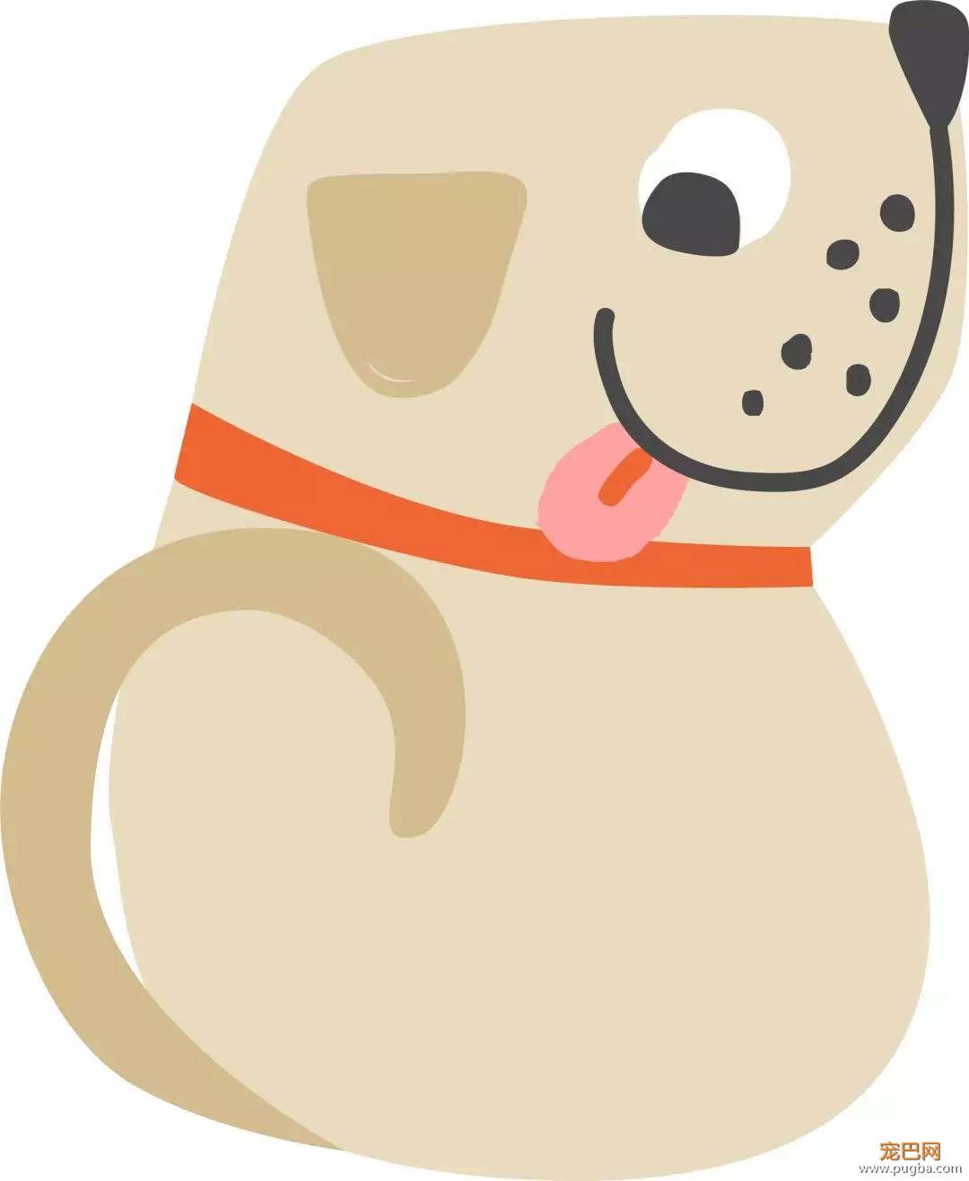 退役军犬和大眼萌猫的故事，续集来了！-1.jpg