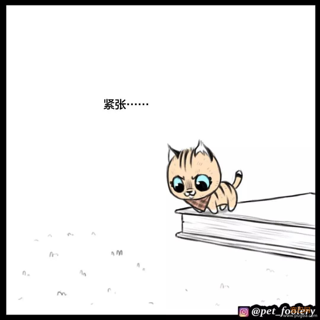 退役军犬和大眼萌猫的故事，续集来了！-3.jpg