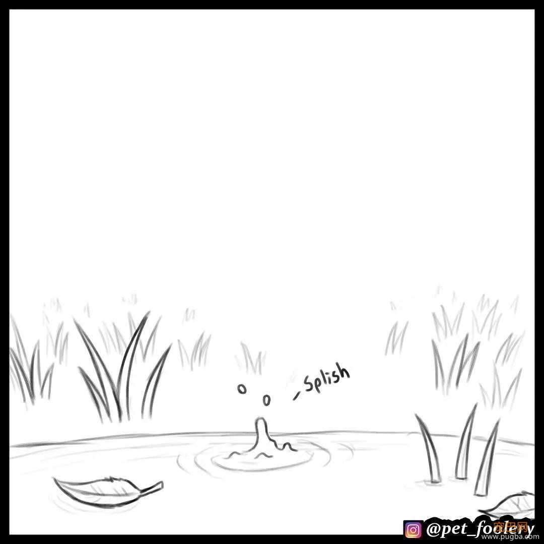 退役军犬和大眼萌猫的故事，续集来了！-13.jpg