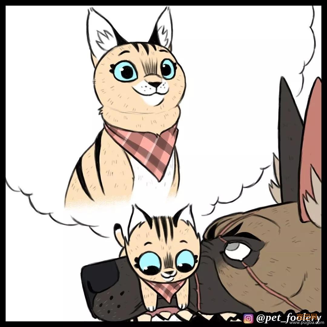 退役军犬和大眼萌猫的故事，续集来了！-23.jpg