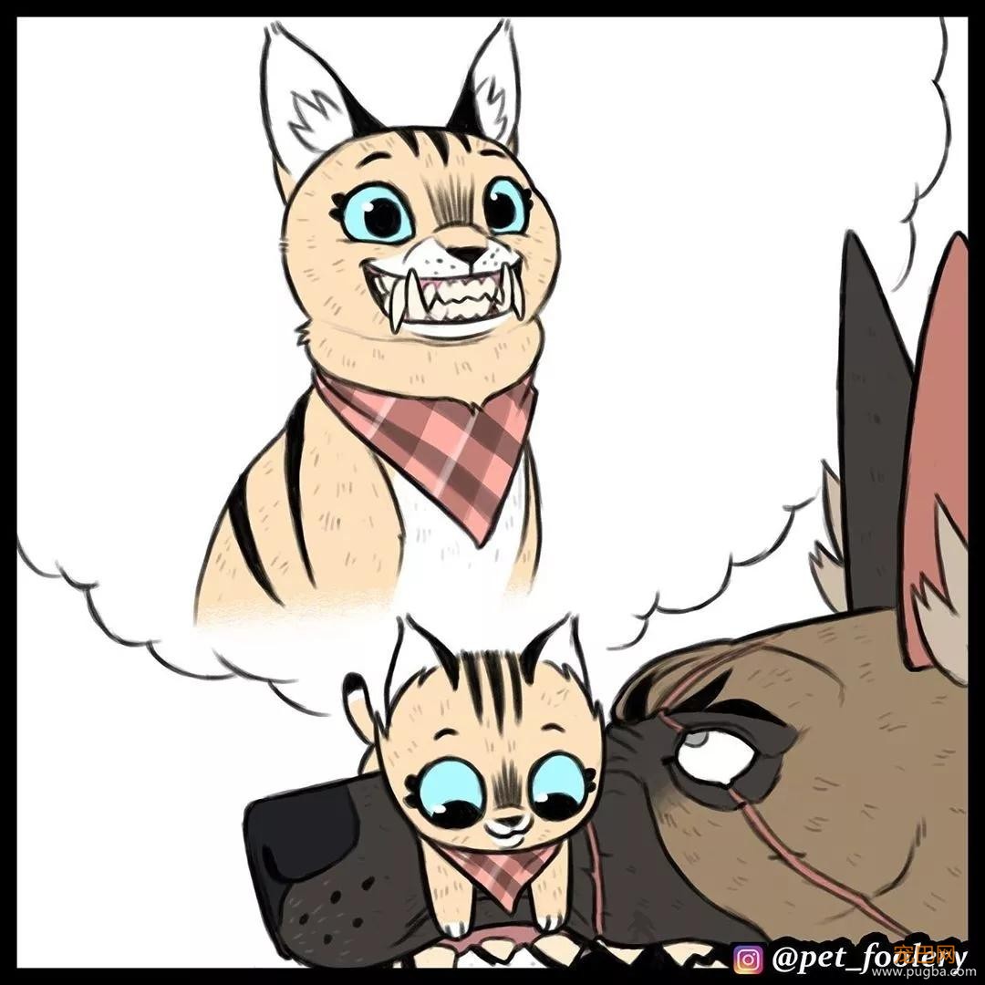 退役军犬和大眼萌猫的故事，续集来了！-24.jpg