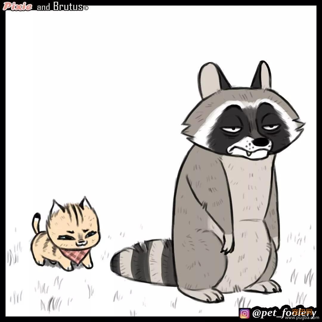 退役军犬和大眼萌猫的故事，续集来了！-28.jpg